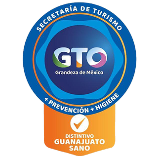 Guanajuato Sano