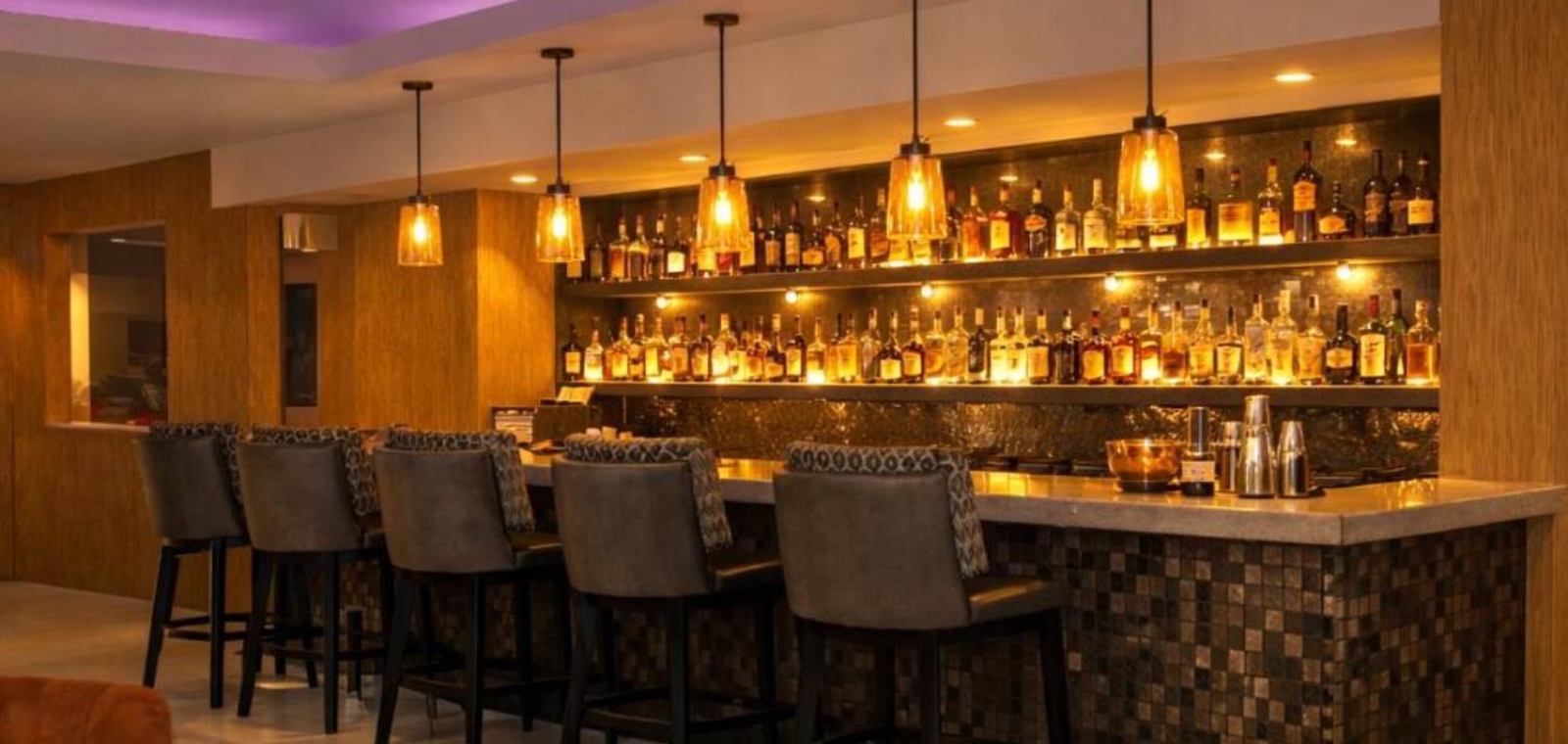 Bar Cactus