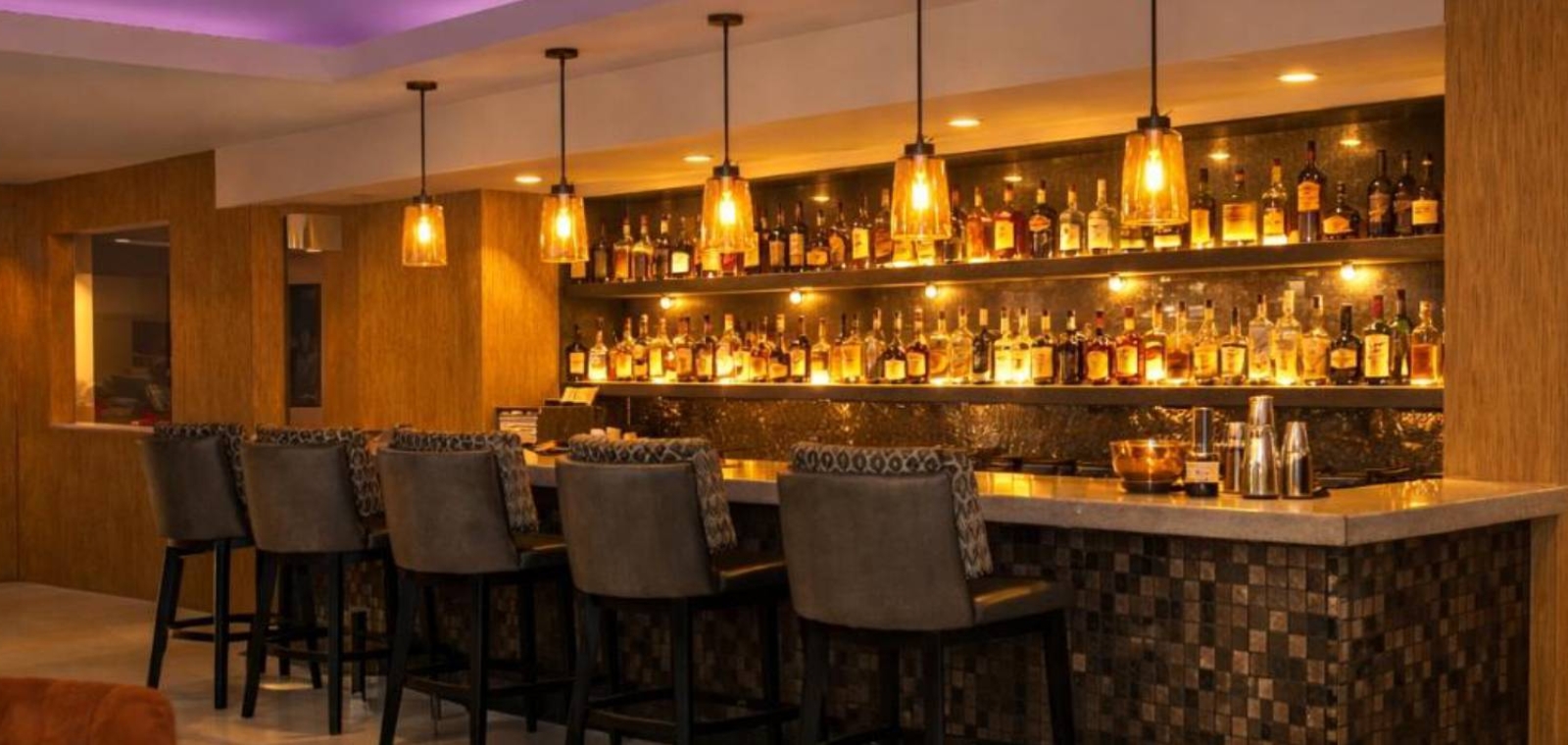 Bar Cactus